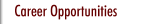 Career Opportunities
